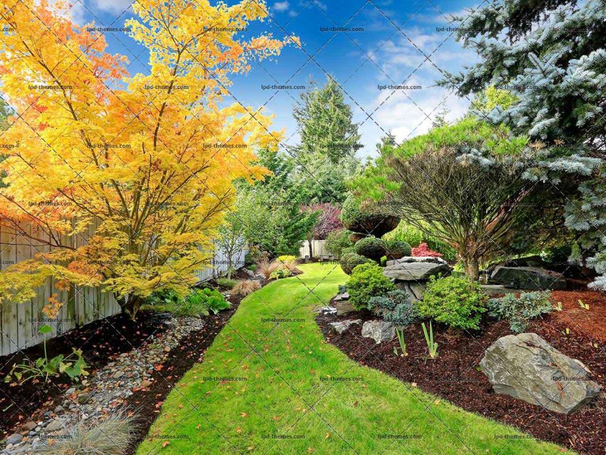 Backyard Landscape Design